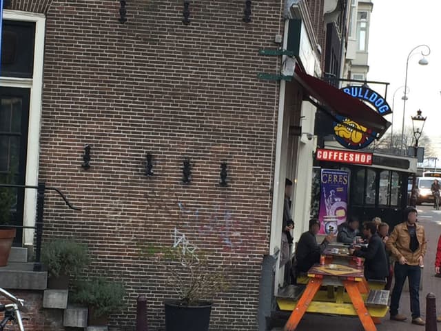 Bulldog Rock Shop
