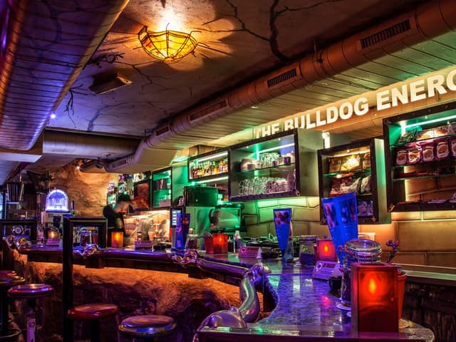 Bulldog Energy