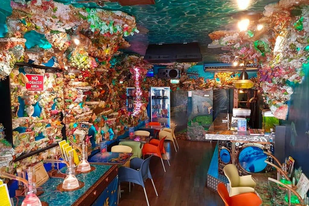 The ranking: the 10 best coffeeshops in Amsterdam