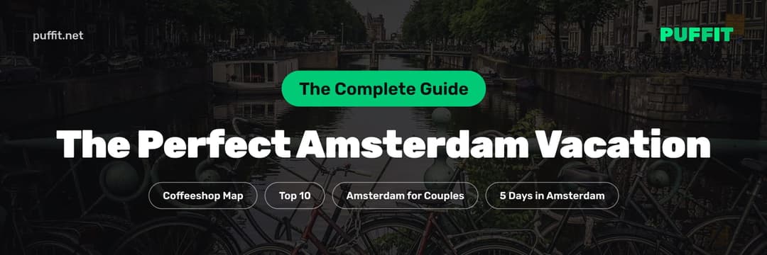 The perfect Amsterdam vacation: the complete guide