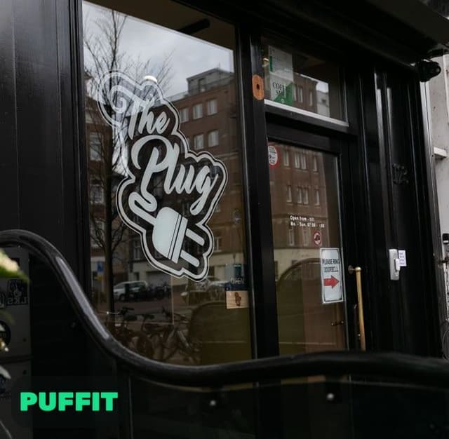 The Plug | הפלאג