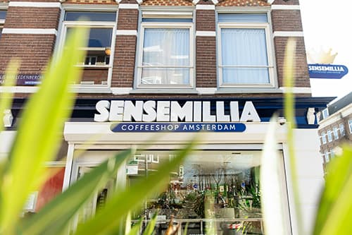 סנסמיליה - Sensemillia Gillis van Ledenberchstraat קופי שופ