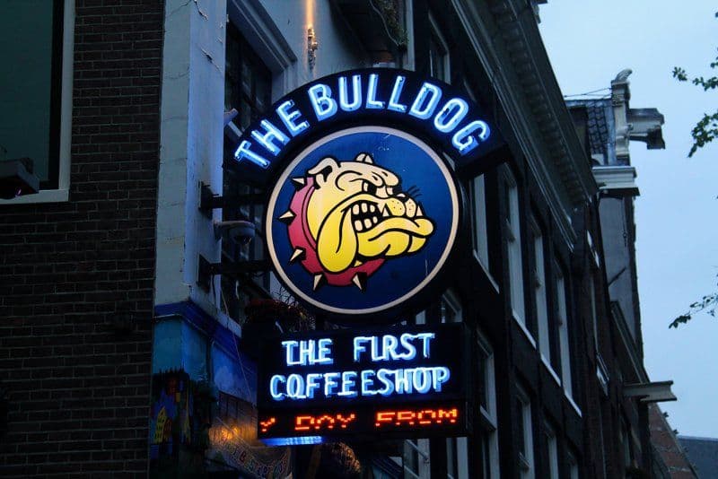 דה בולדוג דה פירסט - The Bulldog The First קופי שופ