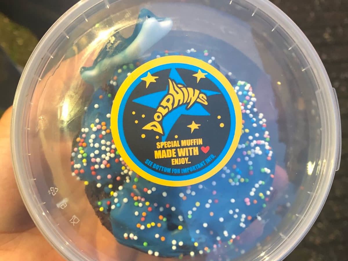The Dolphins