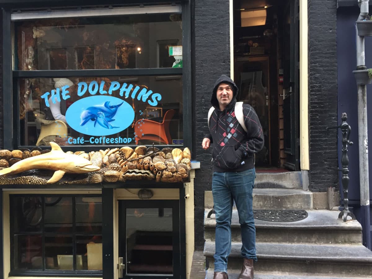 The Dolphins